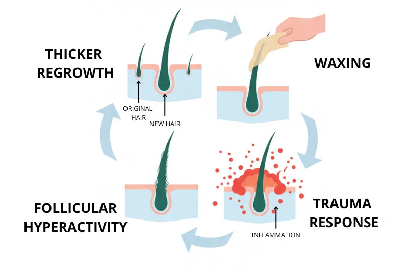 The waxing trauma cycle